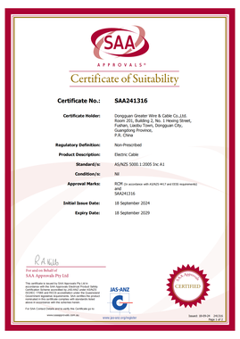SAA241316 building wire SAA241316 building wire