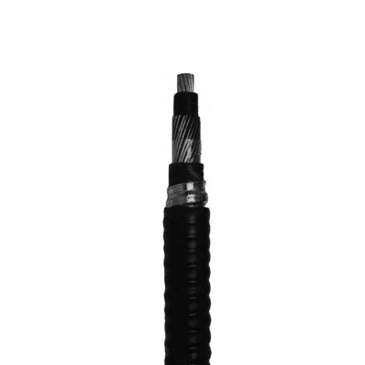Teck90 Câble blindé unique CSA Type CSA HL 1000V